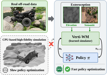 Verti-WM: A Physics-Aided Exteroceptive World Model for Off-Road Reinforcement Learning